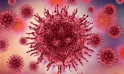 Hepatitis E virus